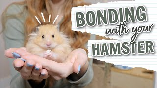 How to Bond with your Hamster screenshot 3