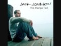 Jack Johnson - Better Together, the hawaiian version