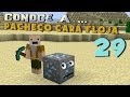 Pacheco Cara Floja 29 | GUÍA DE SUPERVIVENCIA EN MINECRAFT