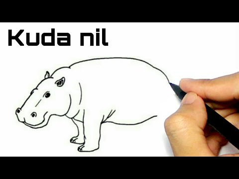 Video: Cara Melukis Kuda Nil