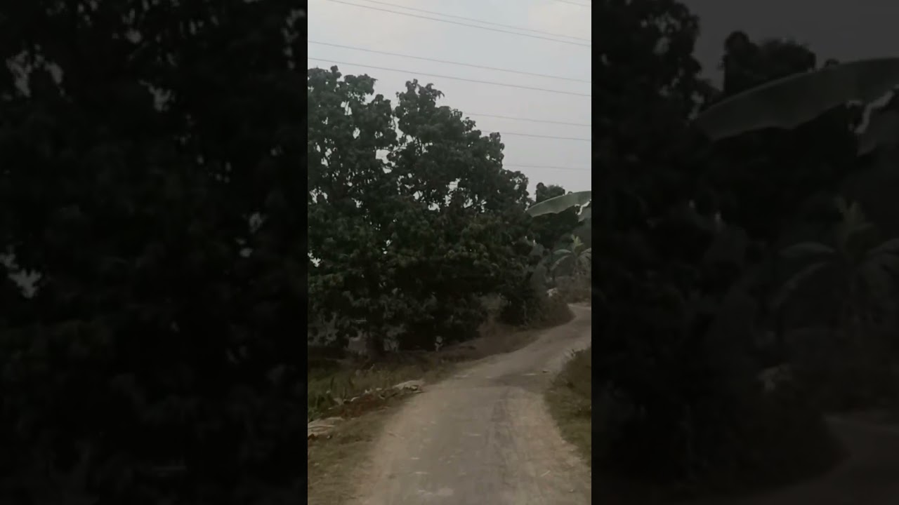 live car accident 😭😱