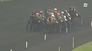 Vidéo de la course PMU PRIX DE BETHUNE