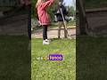 PT.2/2: on today’s episode of neighbors you’ll be glad aren’t yours! Thoughts on this dog issue?