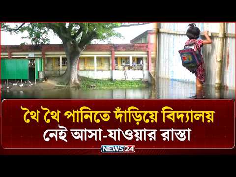 থৈ থৈ পানিতে দাঁড়িয়ে বিদ্যালয়, নেই আসা-যাওয়ার রাস্তা | School | News24