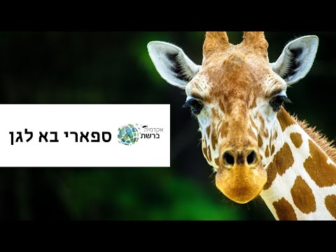 וִידֵאוֹ: כיצד לאחסן בבטחה סטטוסקופ