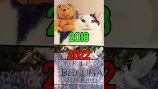 Famous Cats Memes Who Died       meme memes catmemes nostalgia thenvsnow usa unitedstates