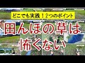 【田んぼの雑草対策】2つの方法を組み合わせ