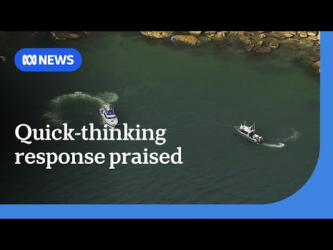 Bear attacks human @TransfagarasanRo