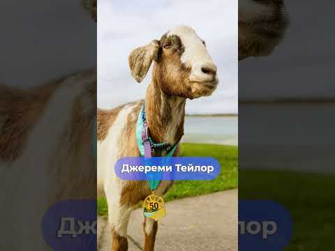 Он только начал, а уже получил награду! #спорт #бег #марафон