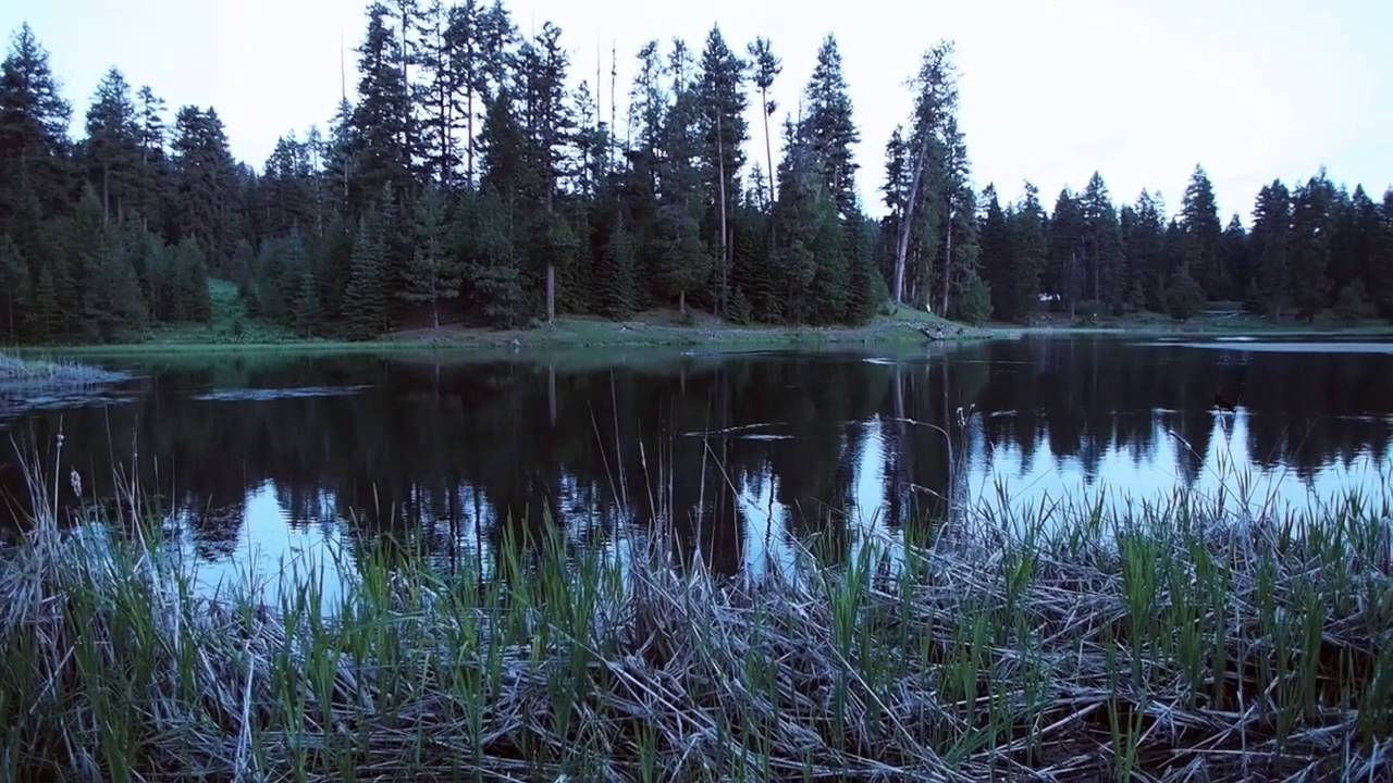 Walton Lake, June 16 YouTube