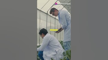 Plant Trait Retrieval Real Data #sciencefather #researchawards #computervision #ScientificResearch