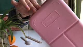 wheat straw lunch box with utensils