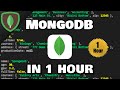 Learn mongodb in 1 hour  2023