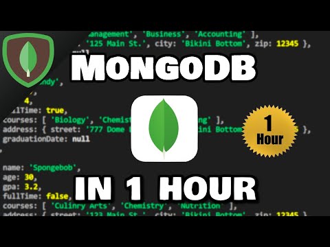 MongoDB in 1 Hour 🍃 (2023)