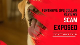 Furthrive Reviews All Truth Furthrive Gps Collar Reviews 11 Days Later