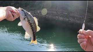 Bass Fishing - Greers Ferry Lake Bass Fishing - Greers Ferry Lake