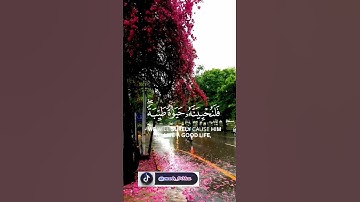 تلاوة خاشعة للقرآن #عبدالرحمن_مسعد #قرآن #قران_كريم #حالاتواتس #تلاوة_خاشعة #سورة_النحل