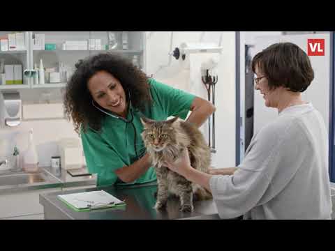 Video: Kako veterinari određuju štene ili mačje doba