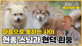 [풀버전] 수제비 귀를 가진 흰둥과 나비 귀를 가진 현덕!🐶 곁에 있어주는 것만으로 행복의 이유가 되어준다 | 동물극장 단짝 EP39 | KBS 221112 방송