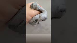 Slime That Looks Like Oreo