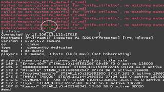 Crashing a DDOS Protected server XD