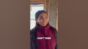 1500 Days Of Building A Treehouse To Live In