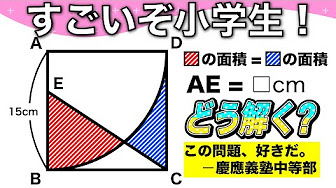 算数 中学受験問題解説