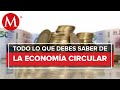 ¿Qué es y en qué consiste la ley de economía circular?