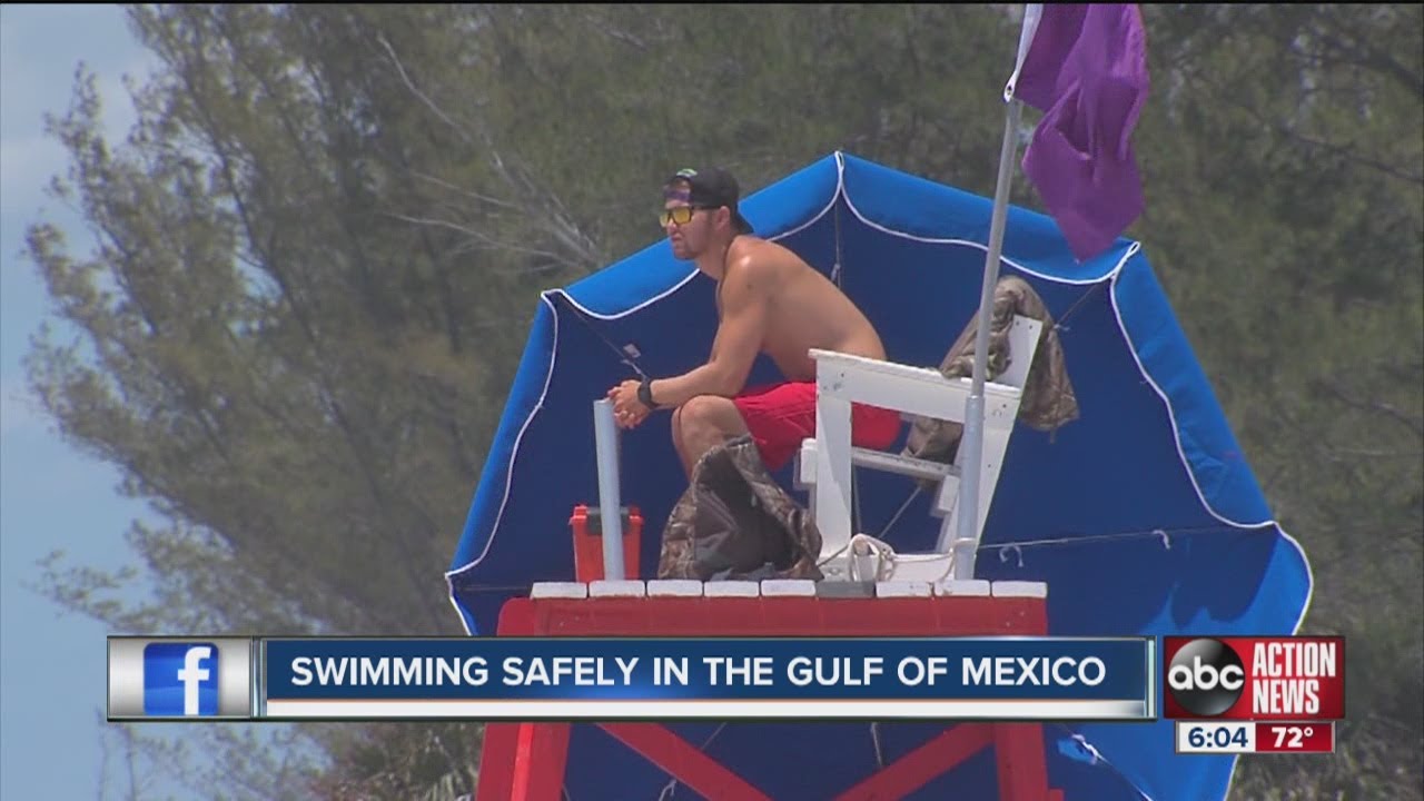 Water safety when swimming in the gulf