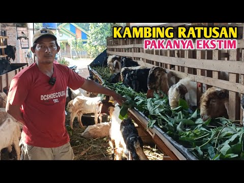 Kilawin Kambing Near Me