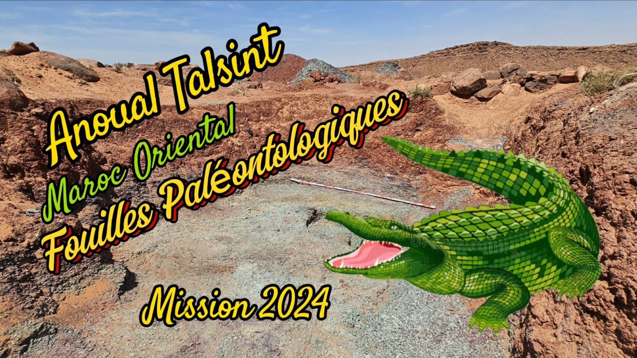 Fouilles Paléontologie Anoual TALSINT MAROC ORIENTAL Mission 2024
