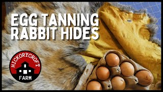 Egg Tanning Rabbit Hides: Raising Meat Rabbits For Fur