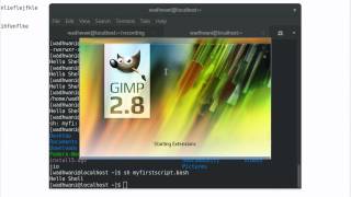 Learn Linux 34 - Shell Scripting 1