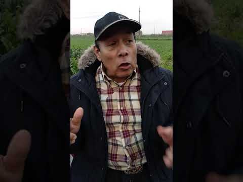 احمد ماهر يكشف النهاية الحقيقية لمسلسل ذئاب الجبل بعد 29 عاما