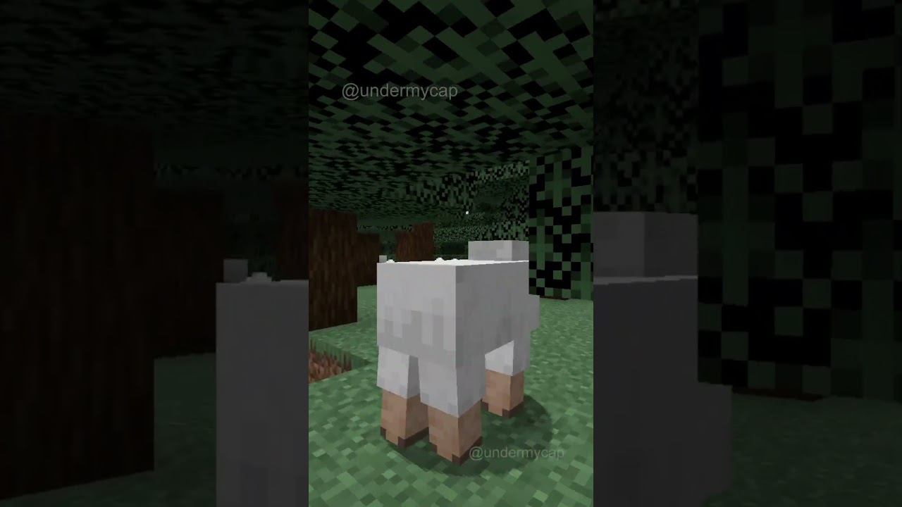 YouTube player