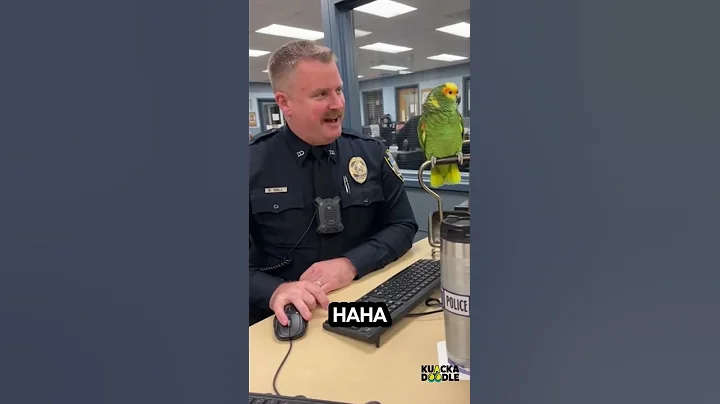Cop Didn’t Expect This Celebrity Joke from a Parrot