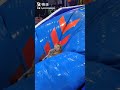 【Funny TikTok】エチエチ🤣ミニスカJUMP台 すごいぞ中国