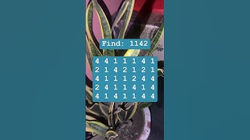 Observation Visual Test: 5 Seconds For You To Spot 1142. Try Your Skills!  #search #puzzle #shorts