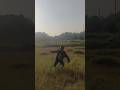 big kite flying #kite ##shorts ##trending