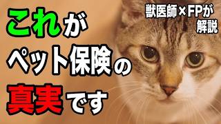 【知らないと損】猫のペット保険について獣医師×FPが解説します