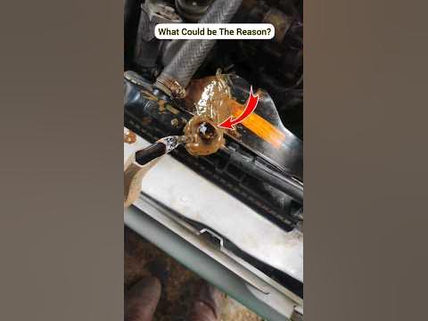 What is the oil in the radiator #shortsvideo #mechanic #cartipstv - YouTube