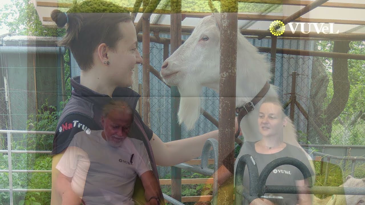 Řešení problematiky výskytu bakteriálních, protozoárních a virových zoonotických agens