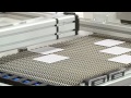 Chip Resistor Automatic Screen Printing Line - Aurel Automation