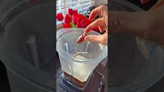 Gut Healing Coffee Frappuccino #antiinflammatorylifestyle