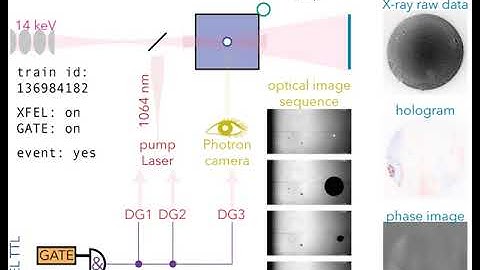 Holographic pump–probe studies at EuXFEL