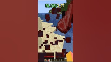 Minecraft, But block drops are randomized