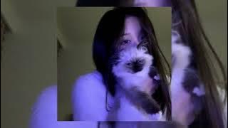 Drive you insane (speed up)