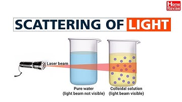 Scattering Of Light | Class 7 | Science | English Medium | Maharashtra Board | Home Revise