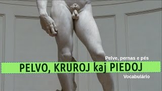 Vocabulário em Esperanto #5 – pelve, pernas e pés