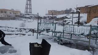 Şuayp Ağırman (Malîştna Berfê 24 Ocak 2020 Süleyman Ağırman)